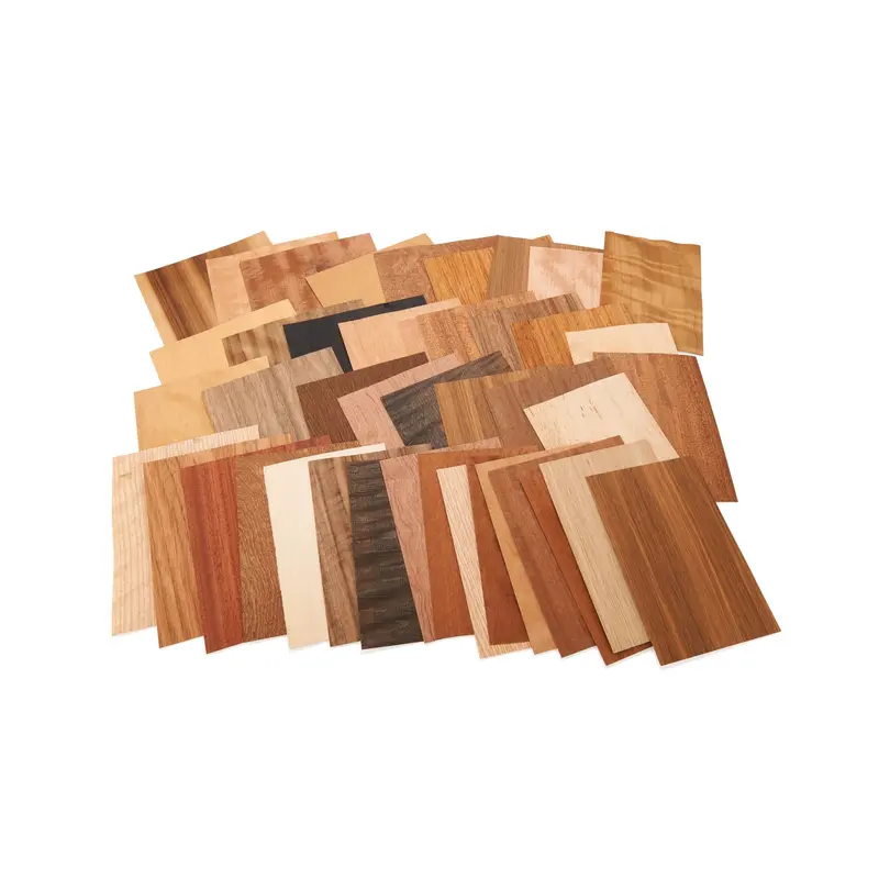 Assorted Domestic and Exotic Wood Veneer Sheets for Marquetry – Dyed and Natural, 5–7.5 in Wide, 15 sq ft Pack