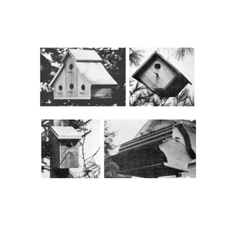 Backyard Birdhouse Construction Plan – Printable Woodworking Blueprint