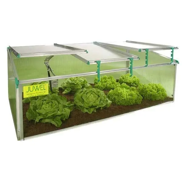 BioStar Premium Cold Frame for Year-Round Gardening