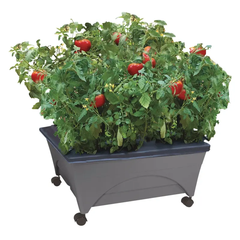 City Pickers 20-Inch By 11-Inch By 24-Inch Slate Polyethylene Patio Garden Kit 1