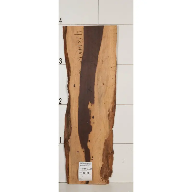 Curly Katalox Live-Edge Slab – Exotic Hardwood with Distinct Figured Grain
