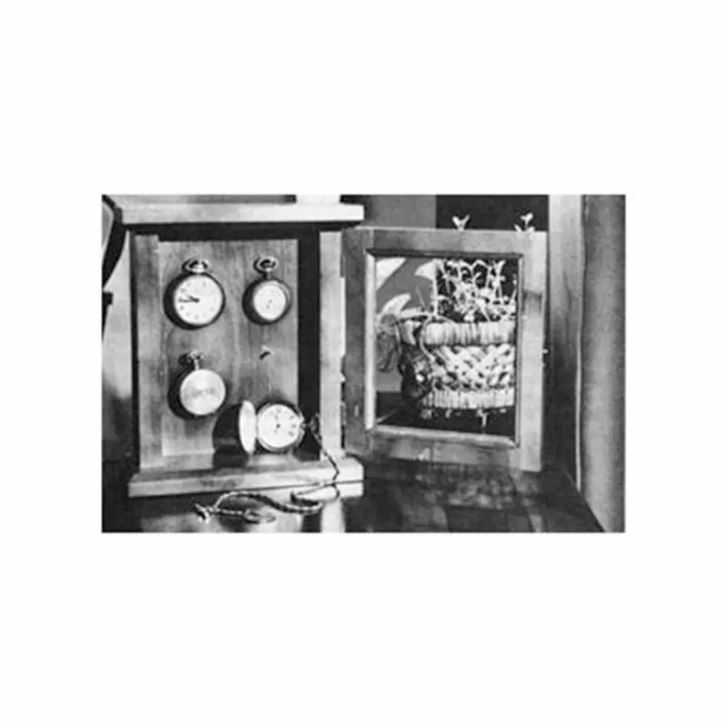 Custom Watch Display Case Woodworking Plan (Printable PDF)