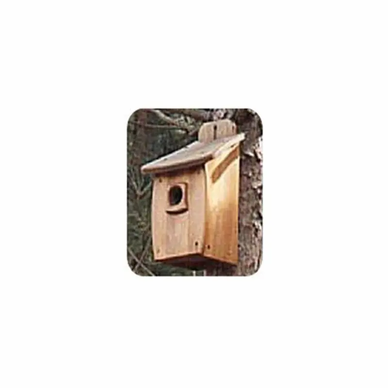 Extra-Large Decorative Birdhouse Building Plan for Woodworkers