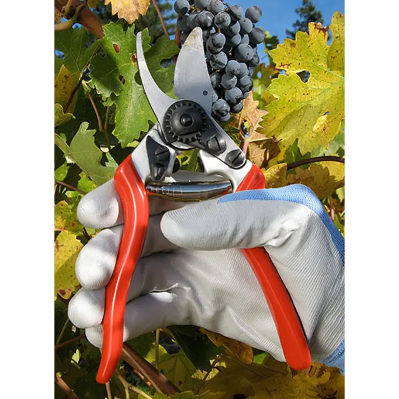 Forged Steel Bypass Pruner