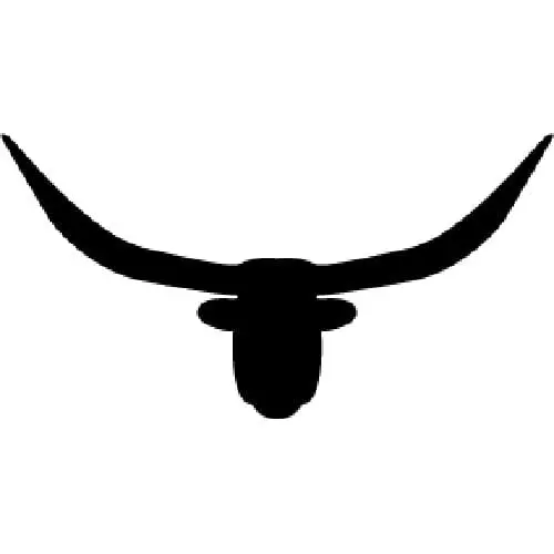 Longhorn Steer Wall Shadow Box Plan for Woodworkers
