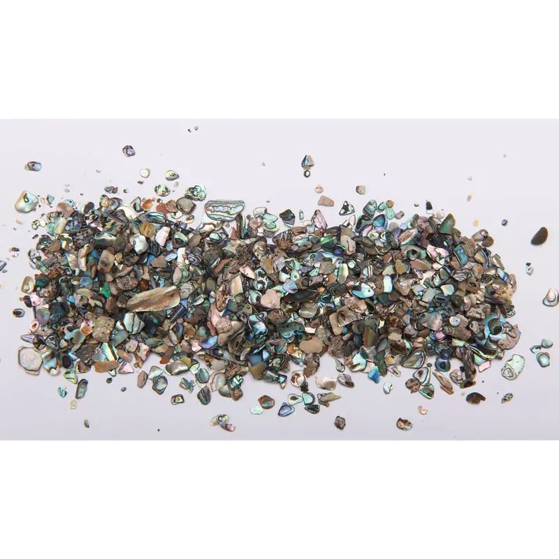 Loose Paua Abalone Inlay Material – 2-Ounce Bulk Quantity