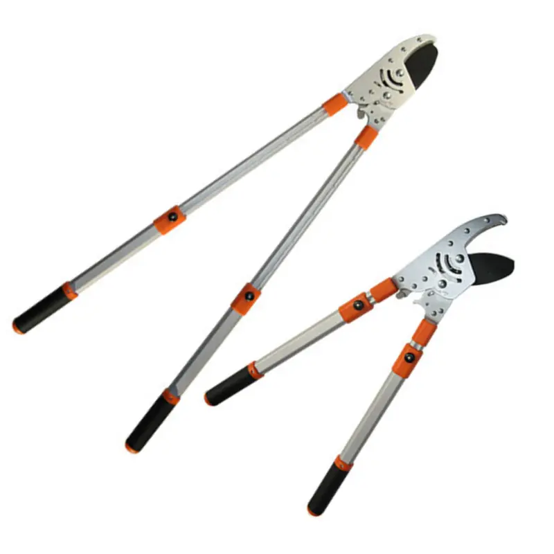 Ratchet Lopper with Adjustable Telescoping Handles