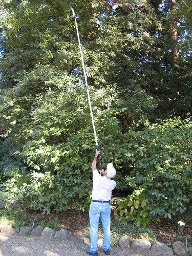Ultimate 14.5-Foot Extendable Pole Saw