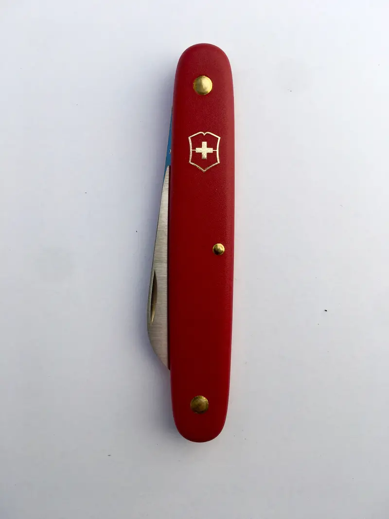 Victorinox Floral Paring Knife – Compact Stainless Steel Blade